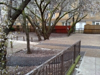 Camden Council Will Remove Three Trees